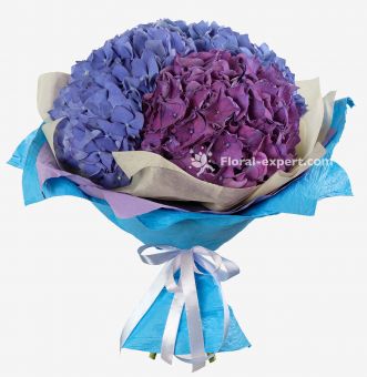 Bouquet of Hydrangeas